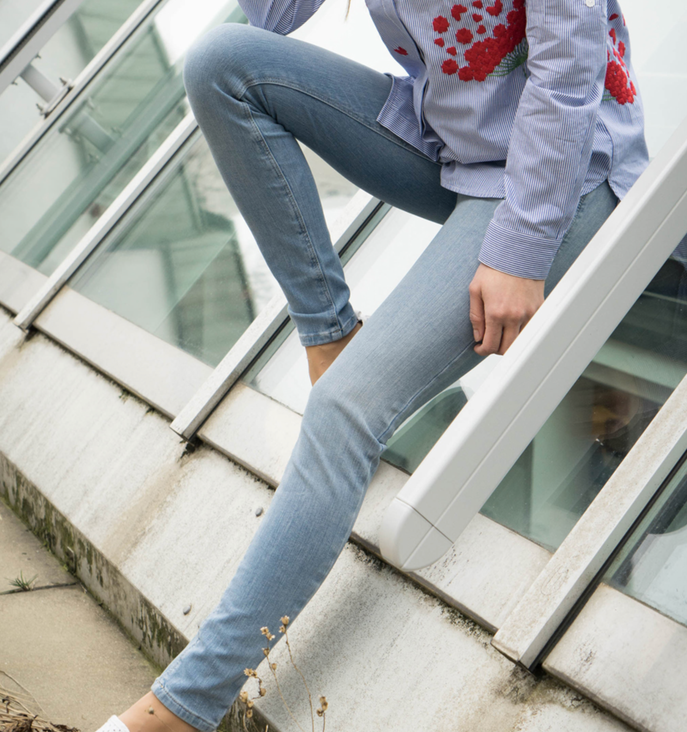 Nina - Flandernblau